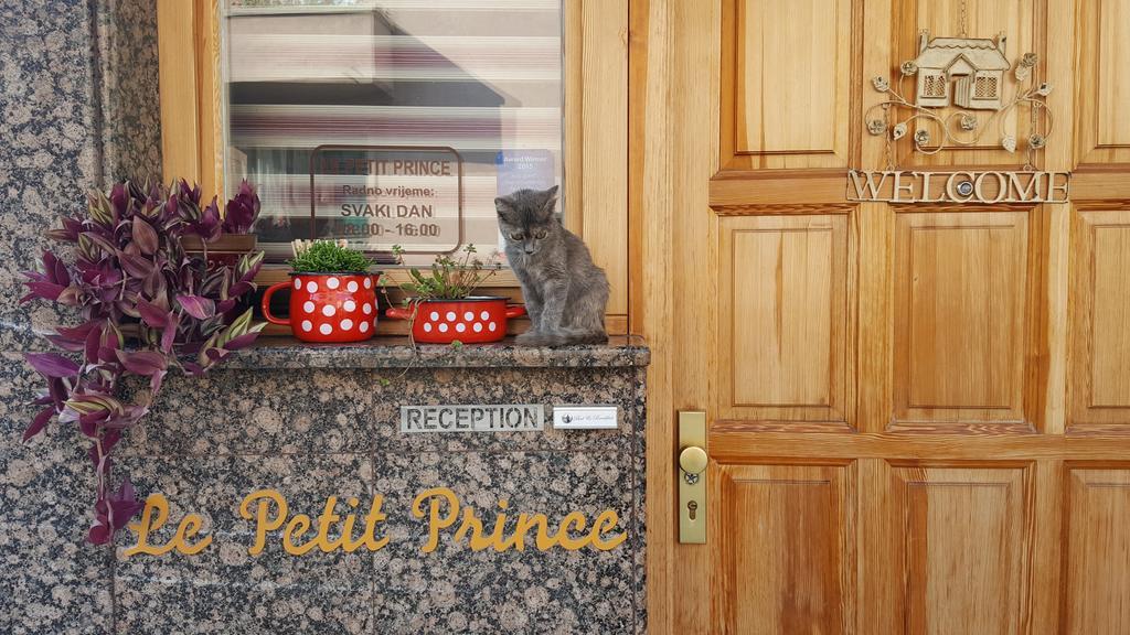 Le Petit Prince Guesthouse Free Parking SJJ Exterior photo
